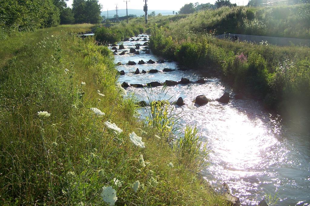 Penzion U Dyje Bulhary Exteriör bild